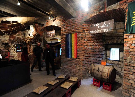 MUZEUM HOMOLUPULŮ