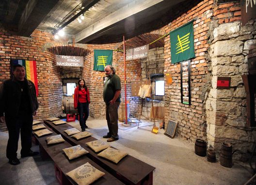 MUZEUM HOMOLUPULŮ